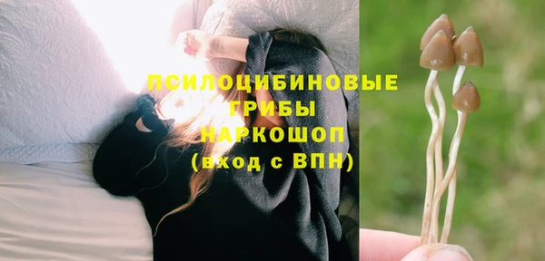 a pvp Новокубанск