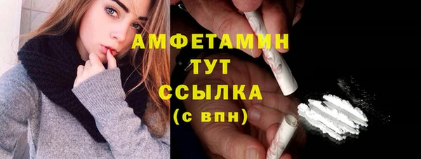 прущий лед Новозыбков