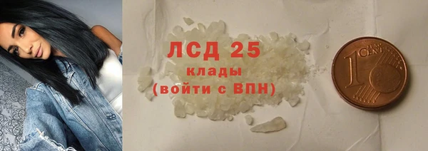 прущий лед Новозыбков