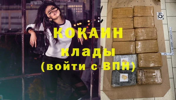прущий лед Новозыбков