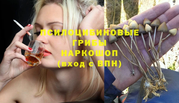 героин Новодвинск