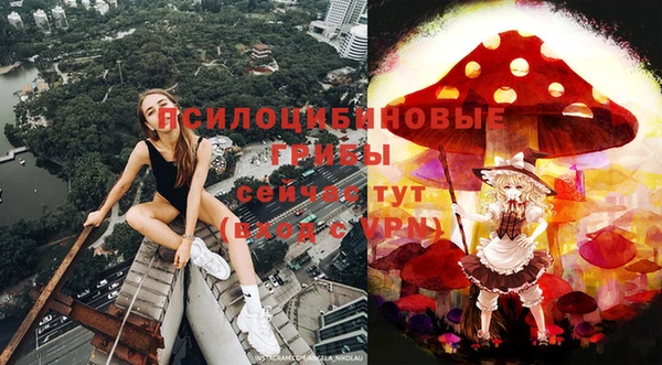 a pvp Новокубанск
