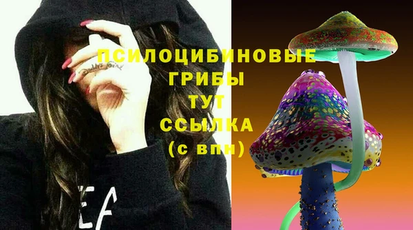 прущий лед Новозыбков