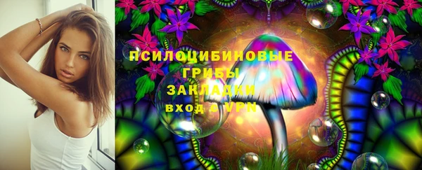 прущий лед Новозыбков