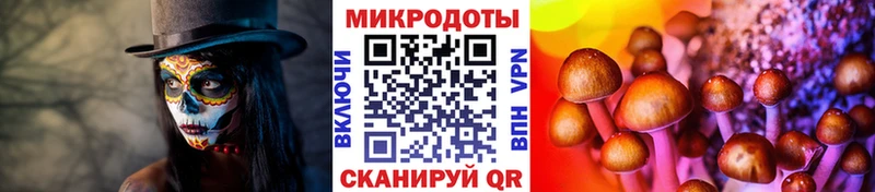 Псилоцибиновые грибы ЛСД Полевской