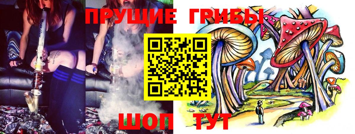 Полевской  Галлюциногенные грибы Psilocybine cubensis  Вход с VPN 