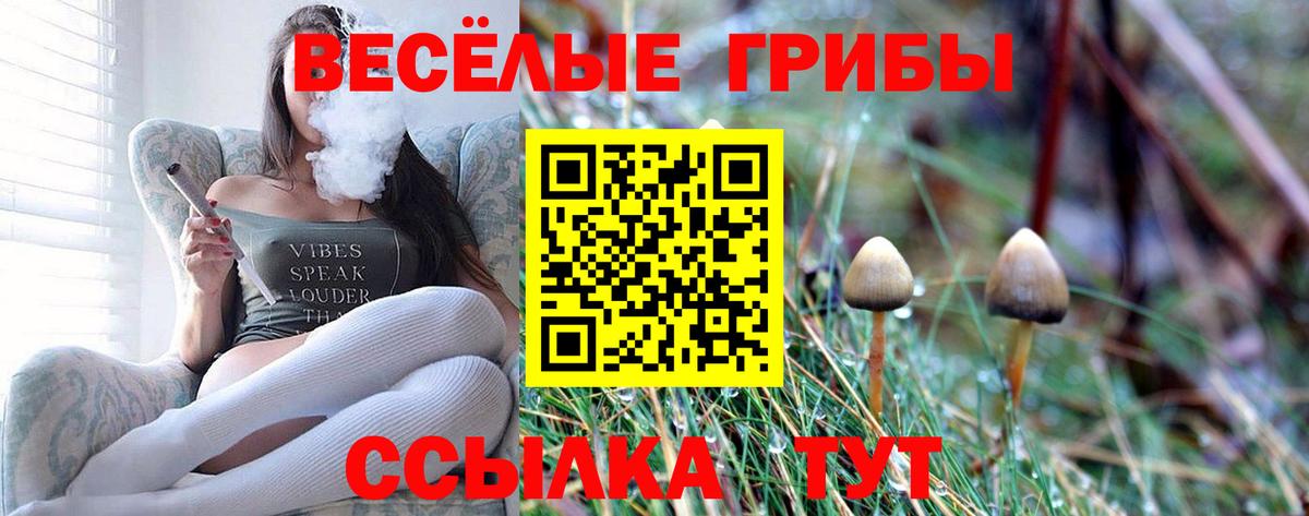 Галлюциногенные грибы ЛСД  Псилоцибиновые грибы GOLDEN TEACHER  Полевской 