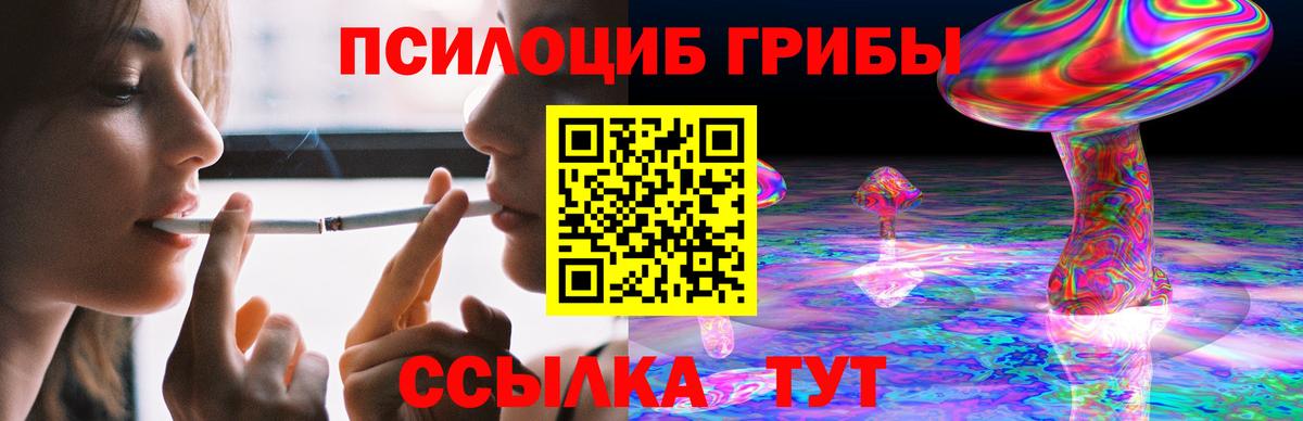 Галлюциногенные грибы ЛСД Полевской