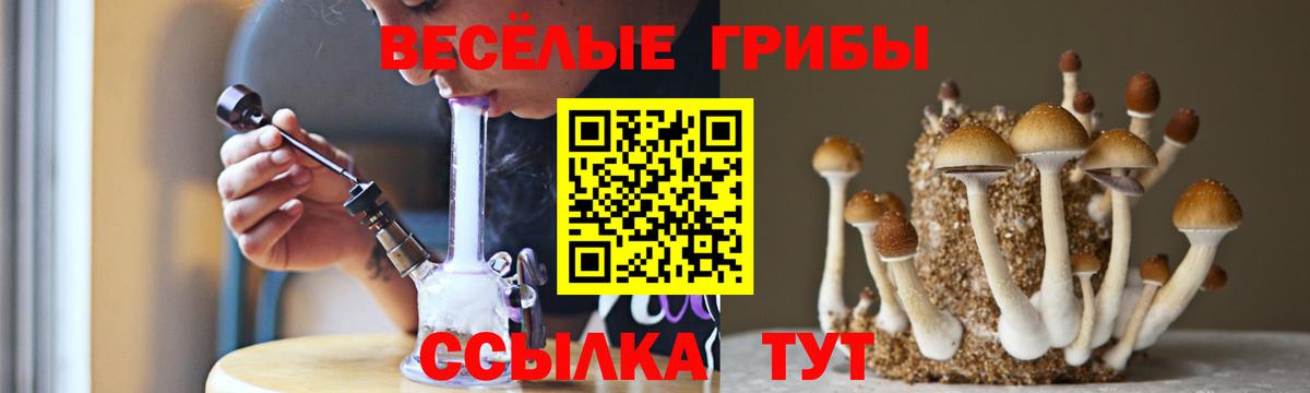 Галлюциногенные грибы GOLDEN TEACHER Полевской